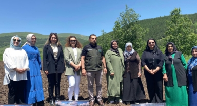Ardahan'da Kekik Yetiştiriciliği ile Kadın Üreticilere Destek