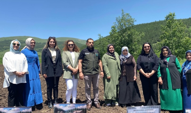 Ardahan'da Kekik Yetiştiriciliği ile Kadın Üreticilere Destek