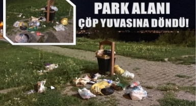 Ardahan Kura Nehri Parkı adeta çöp yuvası!