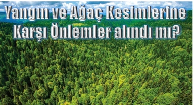 Ardahanlılar Orman Yangınlarına Karşı Önlem Bekliyor