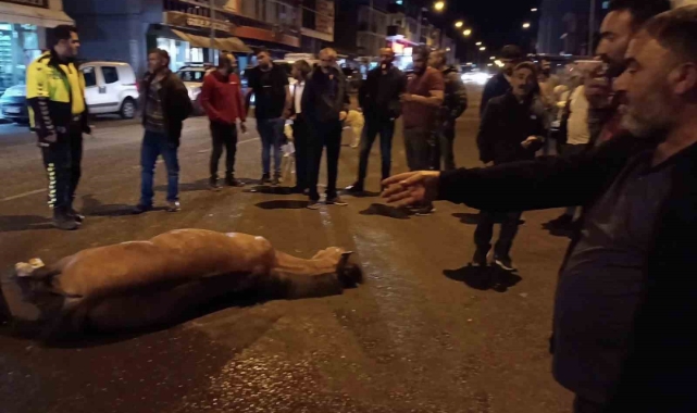 Bunun adı vicdansızlık