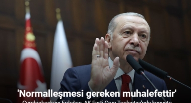 Cumhurbaşkanı Erdoğan: 'Normalleşmesi gereken muhalefettir'