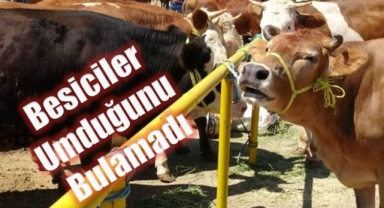 Ekonomik Kriz Kurban Satışlarını Vurdu!