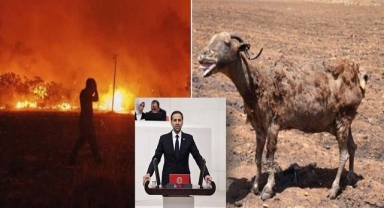 İncesu’dan Yangınlarla İlgili Sert açıklama!