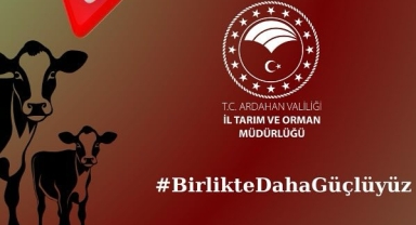 2024 Buzağı Destekleri Açıklandı