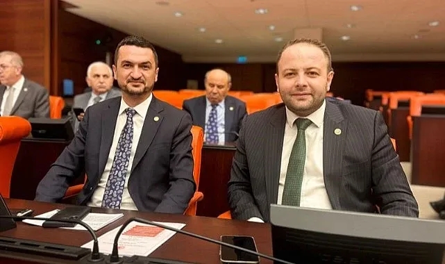 Koç, Meclisteki