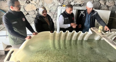 Posof'ta Alabalık Çiftlikleri Artıyor