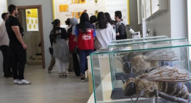 Ardahan Aile ve Sosyal Hizmetler'den Çocuklarla Eğitici Müze Gezisi