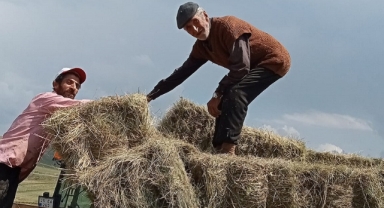 Çiftçi ot balyalarını toplamaya başladı