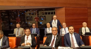 Milletvekili İncesu: