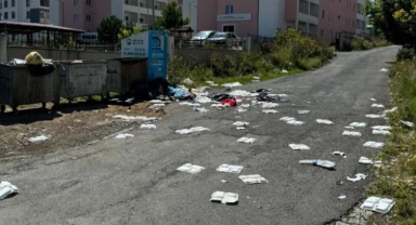 Toplanmayan Çöpler sokaklara yayıldı!