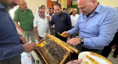 Vekil Koç, Çataldere Köyü’nü Ziyaret Edip Bal Sağımı Yaptı