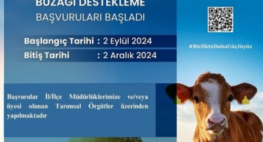 1. DÖNEM BUZAĞI DESTEKLERİ BAŞLADI