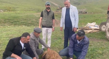 Göle’de İçme Suyu Sorunu Çözülüyor