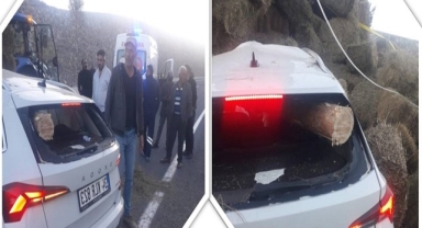 Ardahan'da İlginç Kaza!