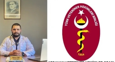Ardahan'da Veterinerler İş Bırakma Eylemi Yapacak!