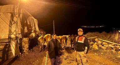 Jandarma, Kayıp Hayvanları Sahiplerine Teslim Etti