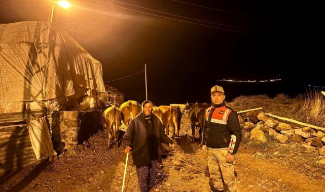 Jandarma, Kayıp Hayvanları Sahiplerine Teslim Etti