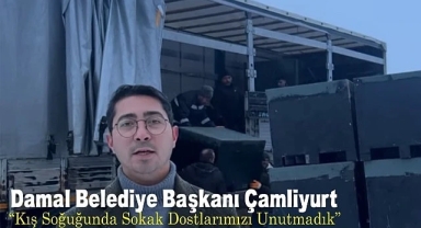 Damal Belediyesi, sokak hayvanlarını soğuktan korumak için harekete geçti