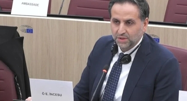 Vekil incesu, AB Karma Parlamento Komisyonunda konuştu