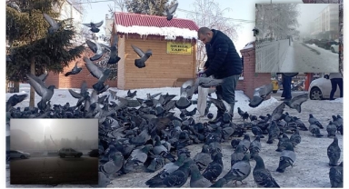Ardahan'da Sis Kartpostallık Manzaralar Oluşturdu