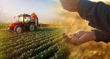 Ardahan'da Tarımsal Üretim 50 Bin Ton Artış Gösterdi