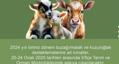 Buzağı destek listeleri askıya çıktı