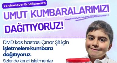 Çınar İçin El Ele: DMD ile Mücadelede Türkiye'nin Desteği Bekleniyor
