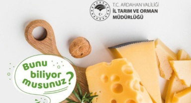 Kaşar Peyniri Denetimleri Sıkılaştırıldı