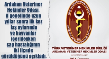Ardahan'da Şap Hastalığı Alarmı: İki İlçe Karantina Altında!