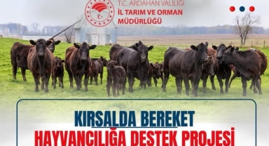 “Kırsalda Bereket, Hayvancılığa Destek” Başvuruları başladı