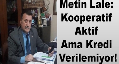 Metin Lale: Kooperatif Aktif Ama Kredi Verilemiyor