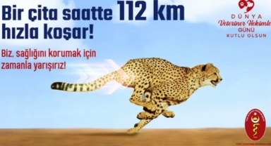 Ardahan Veteriner Hekimleri Odası'ndan Dünya Günü Mesajı