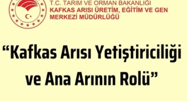 Doğanın Mucizesi Kafkas Arısı İçin Eğitim