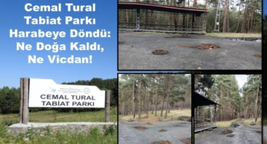 Milli Park mı, Terkedilmiş Savaş Bölgesi mi?