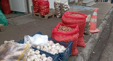Tohumluk Soğan 150 TL’den Satışa Sunuldu