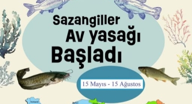 Ardahan'da Sazangiller İçin Av Yasağı Başladı