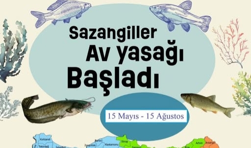 Ardahan'da Sazangiller İçin Av Yasağı Başladı