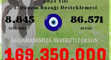 Buzağı Destekleri Hesaplara Yatıyor!
