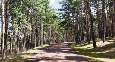 Cemal Tural Tabiat Parkı’na Giriş Artık Ücretli