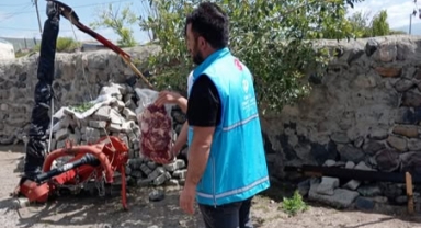 Çıldır’da Kurban Payları İhtiyaç Sahiplerine Ulaştırıldı