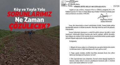 Vekil İncesu’dan Yayla Yolu Tepkisi: “Yıllardır Aynı Sorun!”