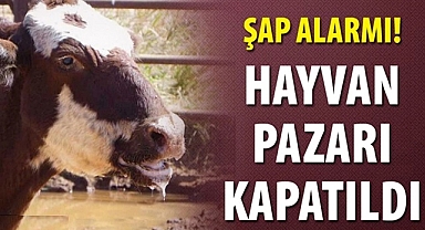 Ardahan Hayvan Pazarı Şap Hastalığı Nedeniyle Geçici Olarak Kapatıldı