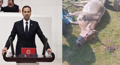 CHP Ardahan Milletvekili İncesu: “Bu Bedeli Üretici Ödememeli”