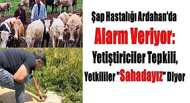 Şap Hastalığı Ardahan'da Alarm Veriyor: Yetiştiriciler Tepkili, Yetkililer