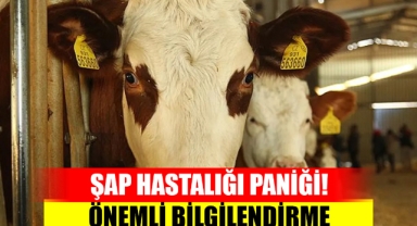 Şap Hastalığına Karşı Uyarı!
