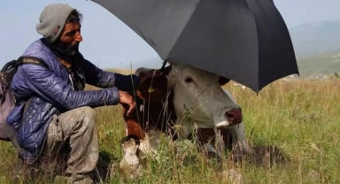 Ardahan’da Çaresizliğin Fotoğrafı