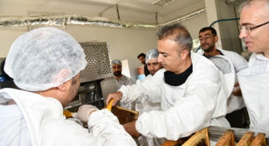 Ardahan’da Coğrafi İşaretli Çiçek Balında Hasat Başladı