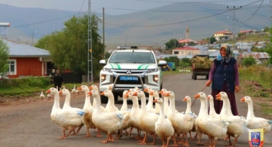 Ardahan’da Jandarmadan Dikkat Çeken Paylaşım: “Önce Yaya”