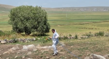 Ardahan’da Şap Hastalığına Karşı Yoğun Mücadele